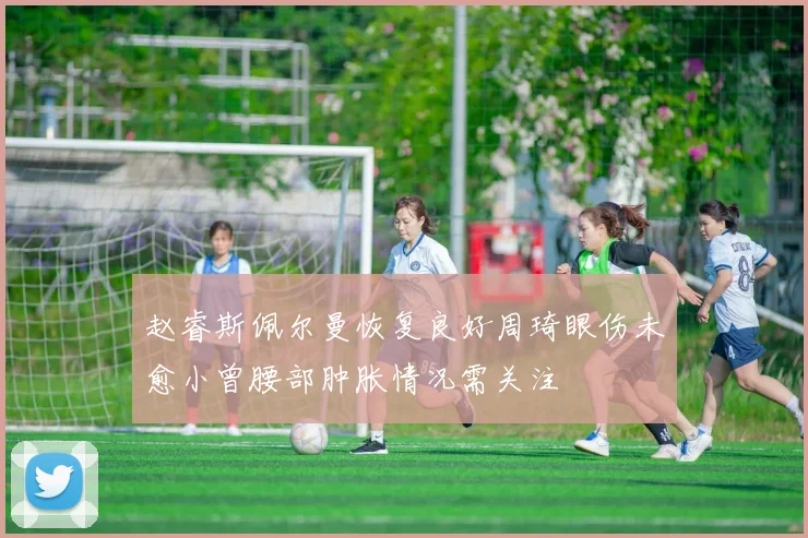 赵睿斯佩尔曼恢复良好周琦眼伤未愈小曾腰部肿胀情况需关注