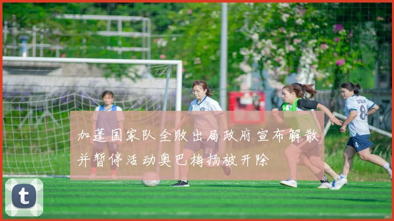 加蓬国家队全败出局政府宣布解散并暂停活动奥巴梅扬被开除