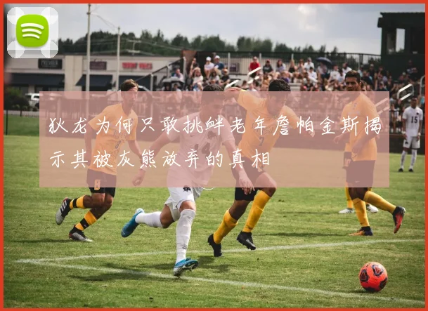 狄龙为何只敢挑衅老年詹帕金斯揭示其被灰熊放弃的真相